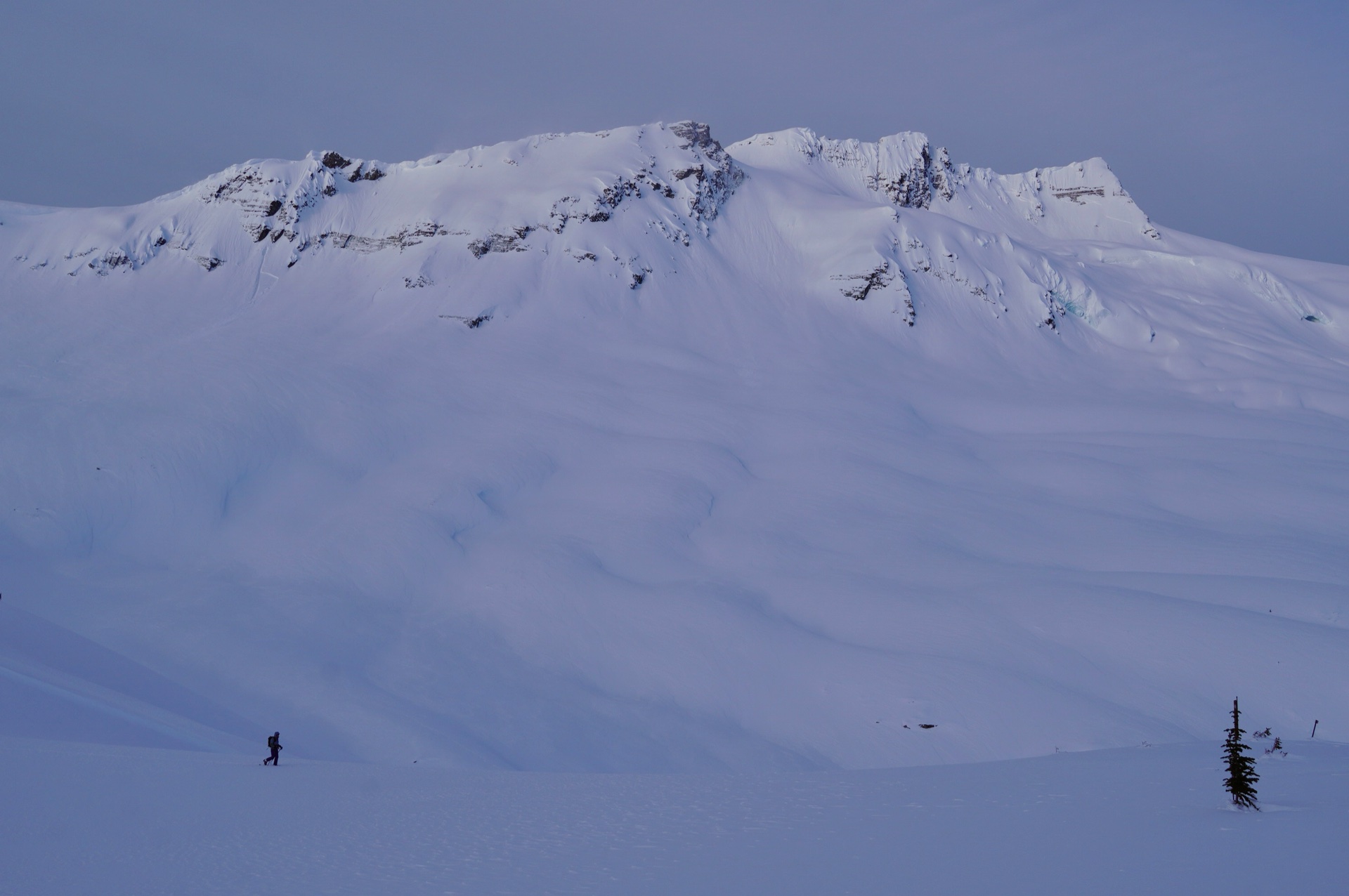 asulkan_rogers_pass - 90.jpg